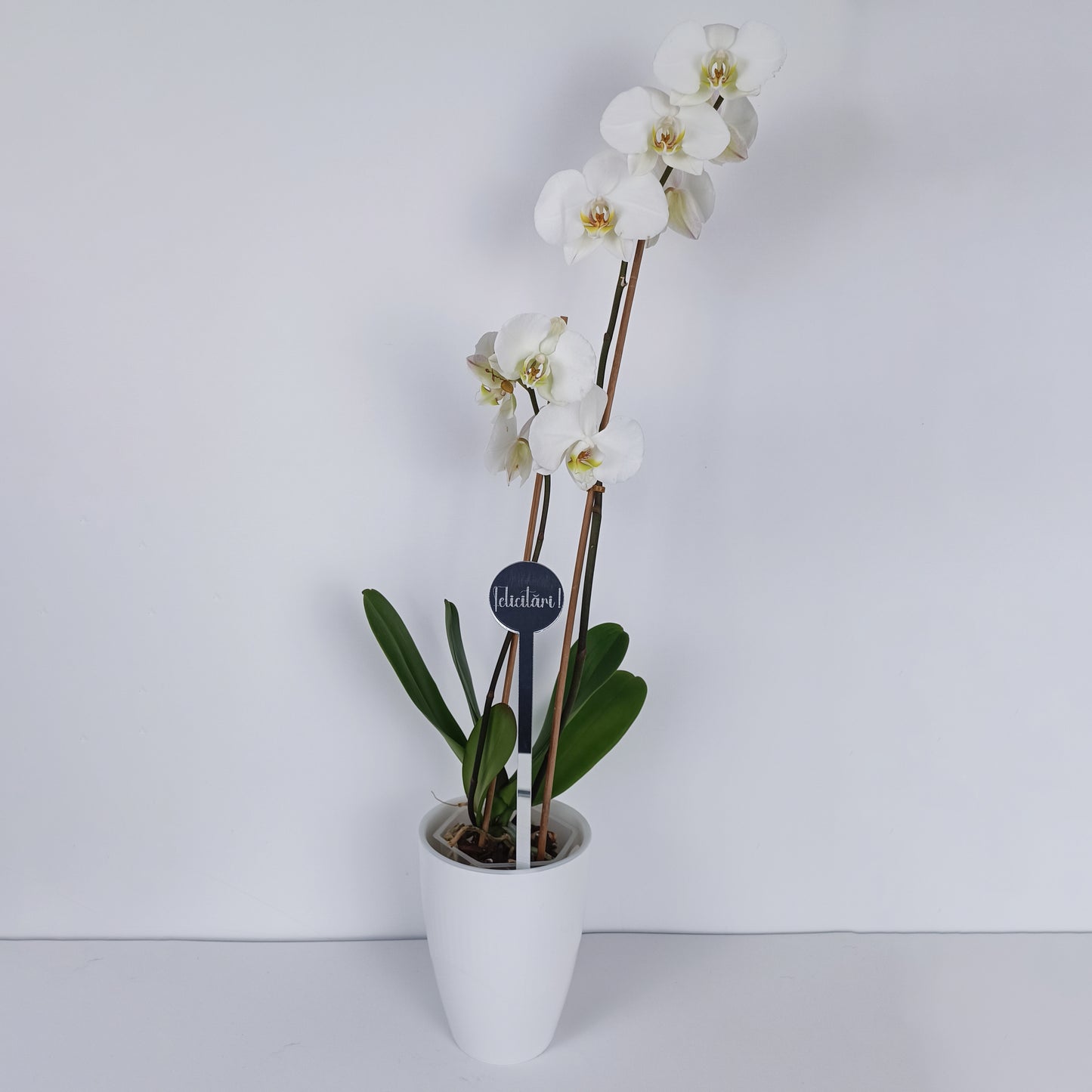 Topper Floral „Felicitări !”