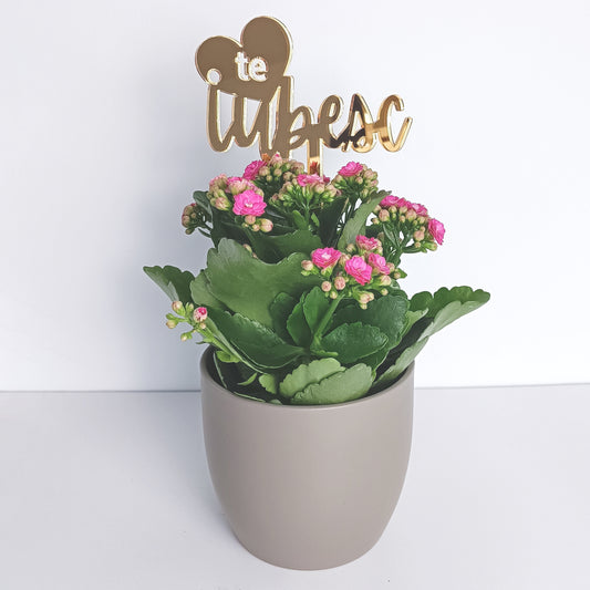 Topper Floral „Te Iubesc” cu Inimă și Tijă Scurtă