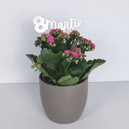 Topper Floral „8 Martie” cu Tijă Scurtă