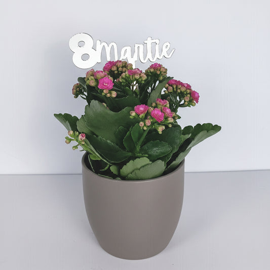 Topper Floral „8 Martie” cu Tijă Scurtă