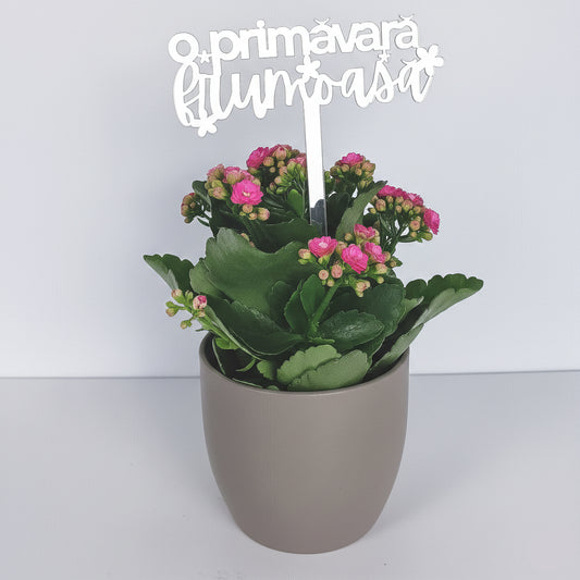 Topper Floral „O Primăvară Frumoasă” cu Flori și Tijă Scurtă