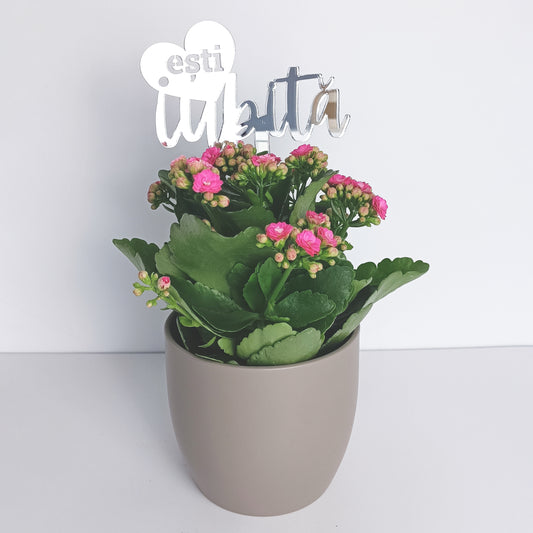 Topper Floral „Ești iubită” cu Inimă și Tijă Scurtă