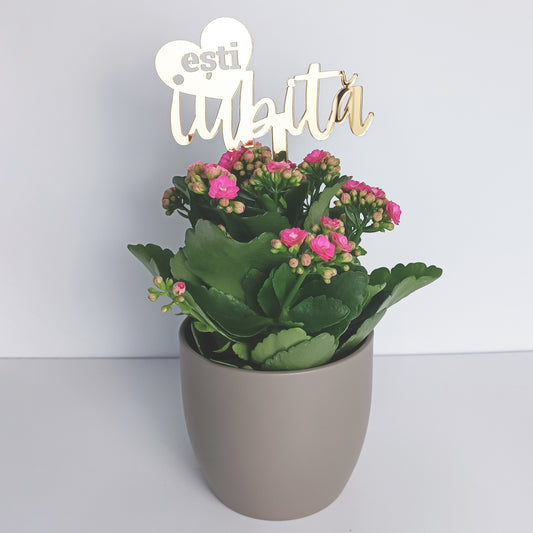 Topper Floral „Ești iubită” cu Inimă și Tijă Scurtă
