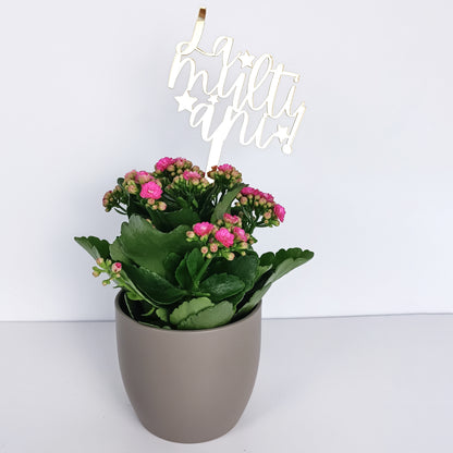 Topper Floral „La mulți ani!” cu Steluțe și Tijă Scurtă