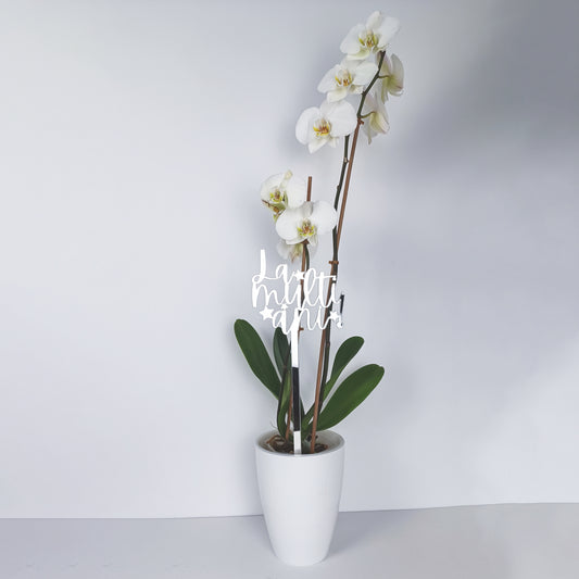 Topper Floral „La mulți ani!” cu Steluțe și Tijă Lungă