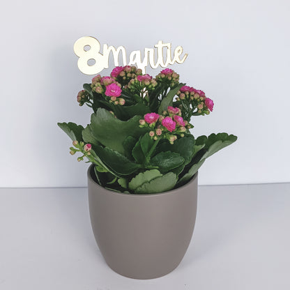 Topper Floral „8 Martie” cu Tijă Scurtă