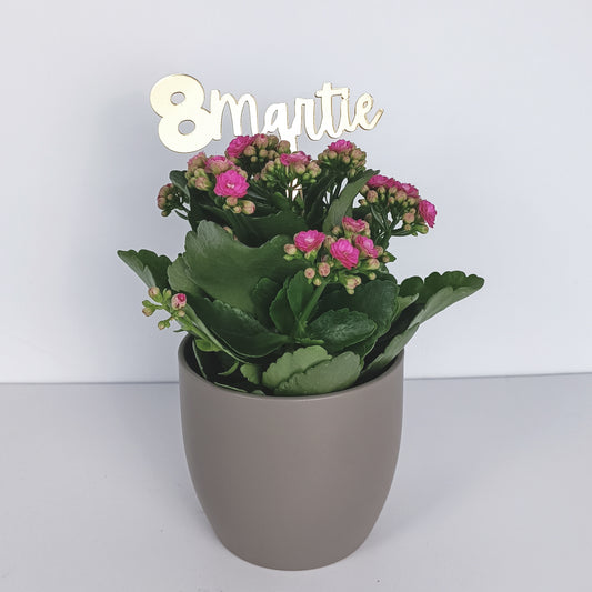 Topper Floral „8 Martie” cu Tijă Scurtă