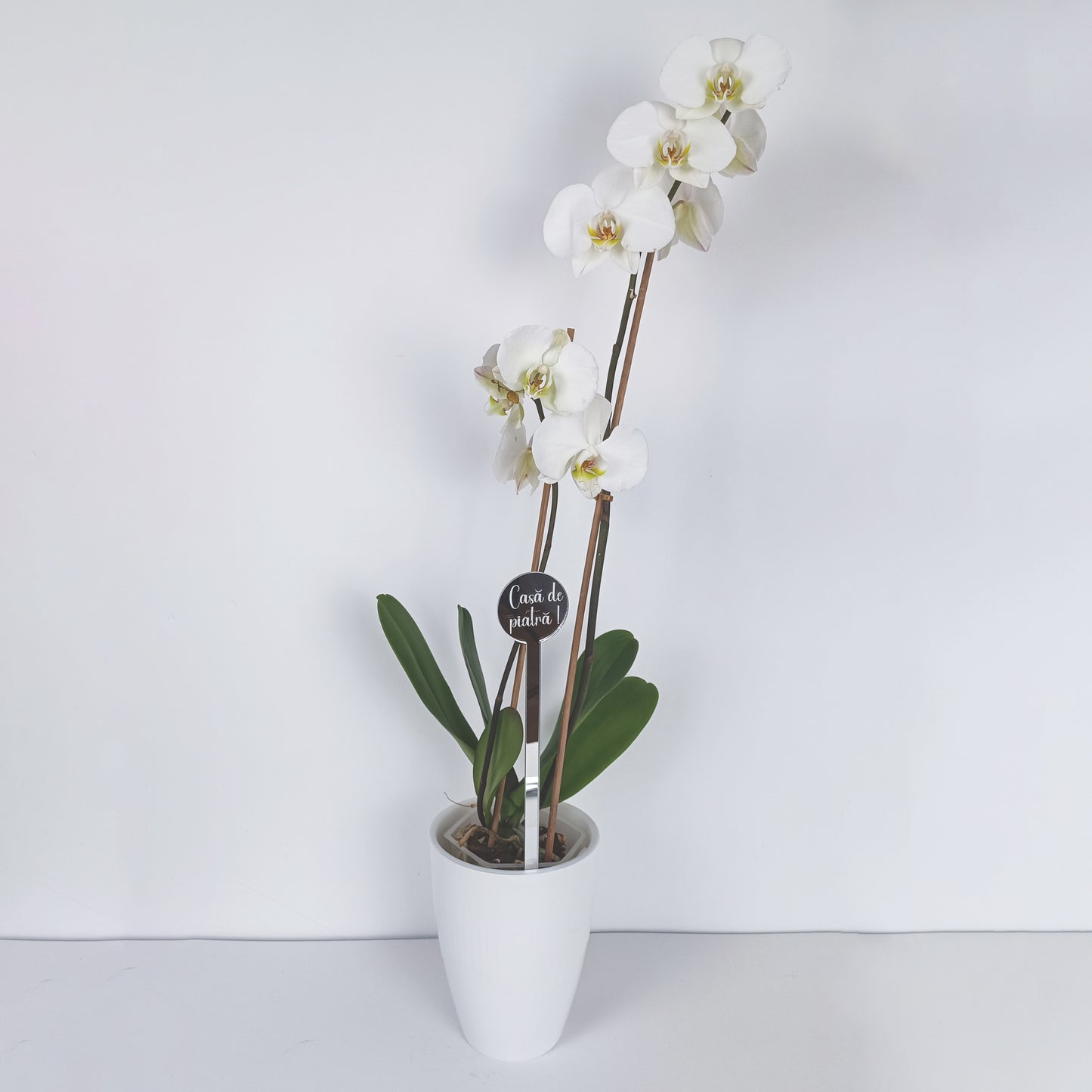 Topper Floral „Casă de Piatră”