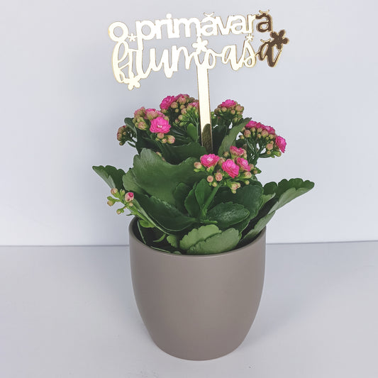 Topper Floral „O Primăvară Frumoasă” cu Flori și Tijă Scurtă