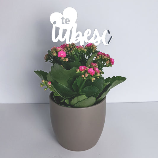 Topper Floral „Te Iubesc” cu Inimă și Tijă Scurtă