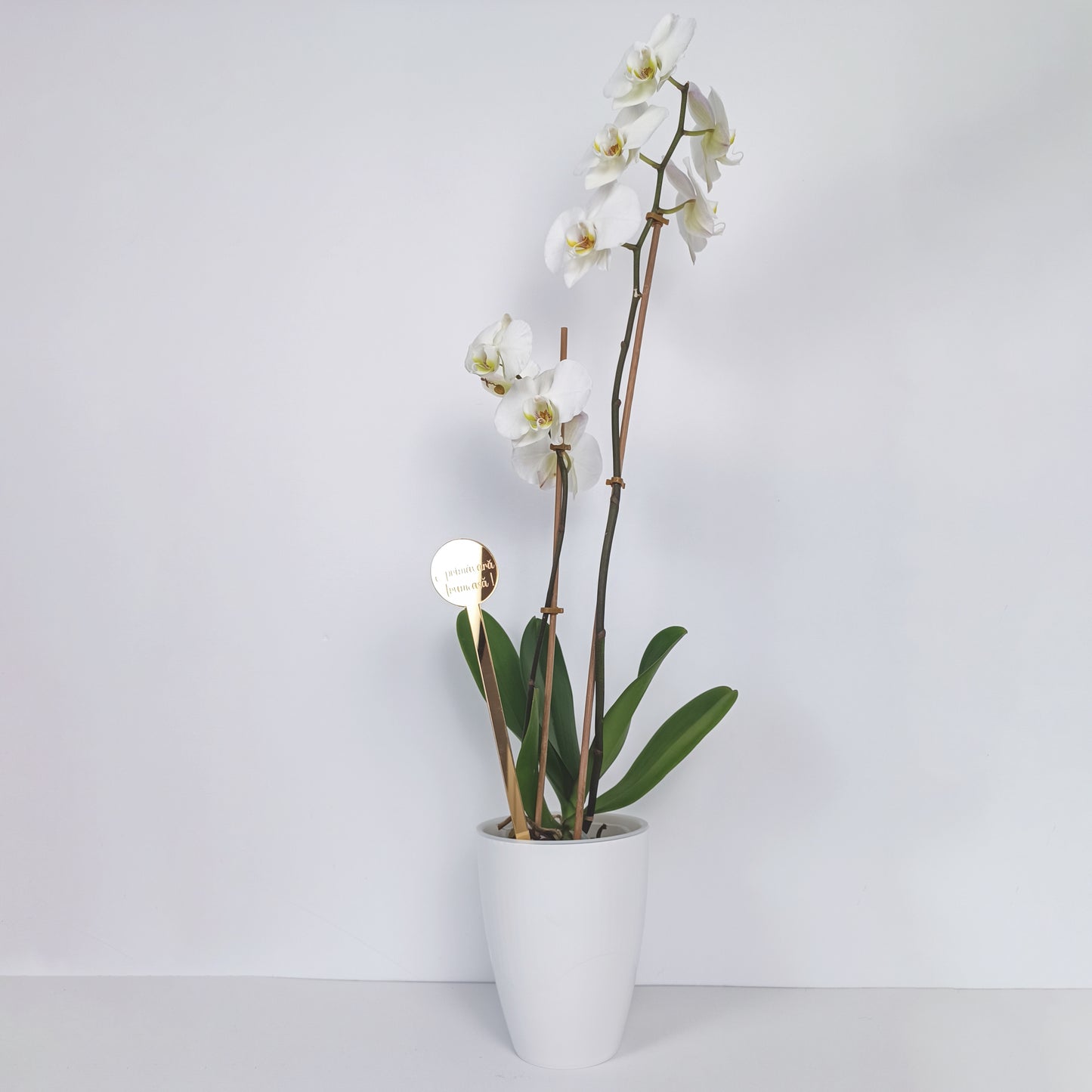 Topper Floral „O primăvară frumoasă!”