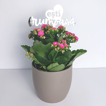 Topper Floral „Ești Frumoasă” cu Inimă și Tijă Scurtă
