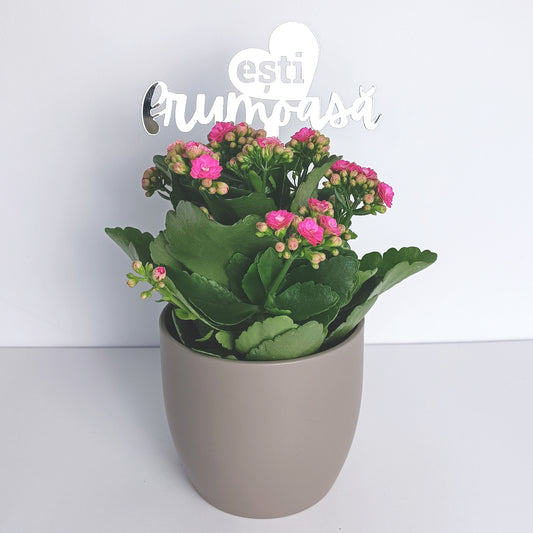 Topper Floral „Ești Frumoasă” cu Inimă și Tijă Scurtă