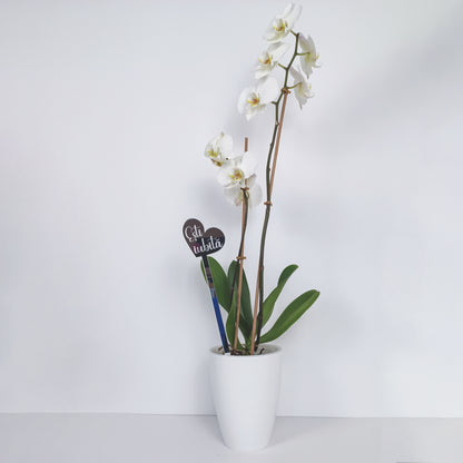 Topper Floral Inimă „Ești iubită”