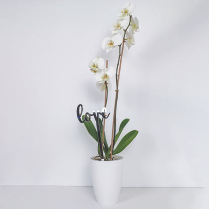 Topper Floral „Love” cu Tijă Lungă