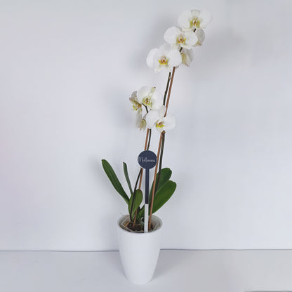 Topper Floral „Mulțumesc!”