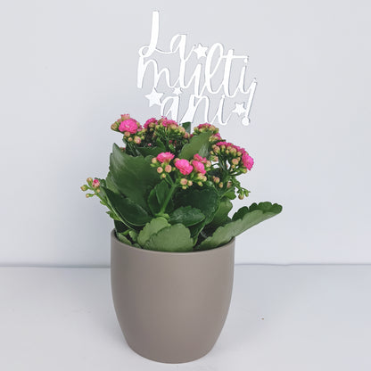 Topper Floral „La mulți ani!” cu Steluțe și Tijă Scurtă