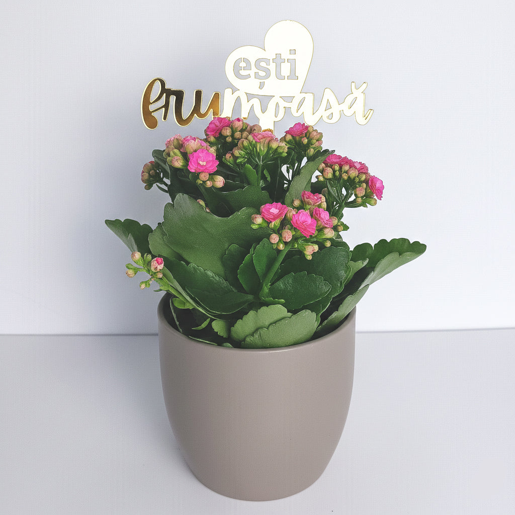 Topper Floral „Ești Frumoasă” cu Inimă și Tijă Scurtă