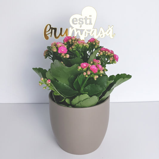 Topper Floral „Ești Frumoasă” cu Inimă și Tijă Scurtă