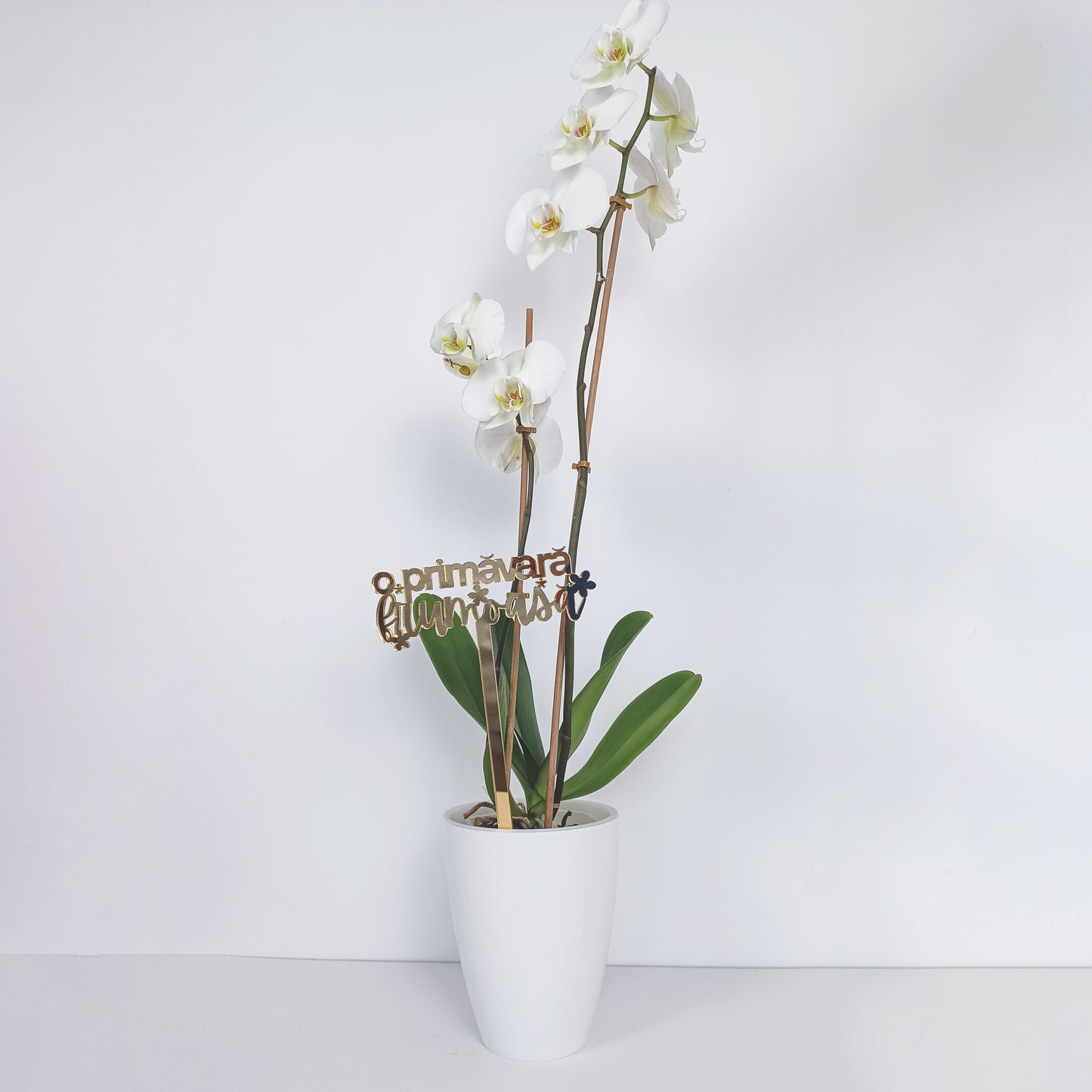 Topper Floral „O Primăvară Frumoasă” cu Flori și Tijă Lungă