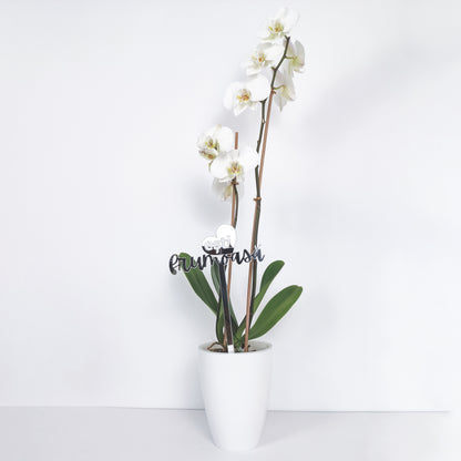 Topper Floral „Ești Frumoasă” cu Inimă și Tijă Lungă